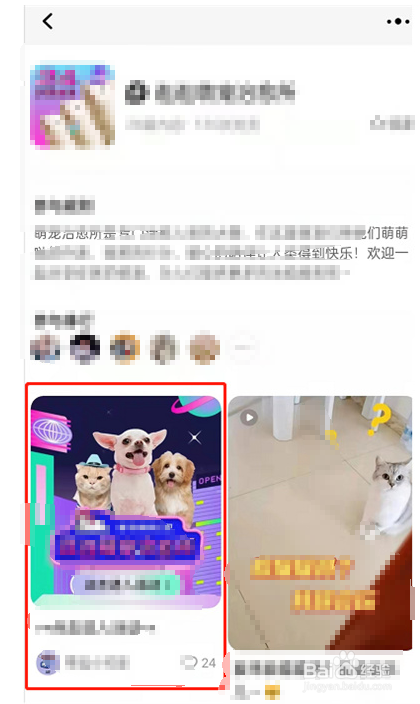 淘宝逛逛怎么进入萌宠治愈所