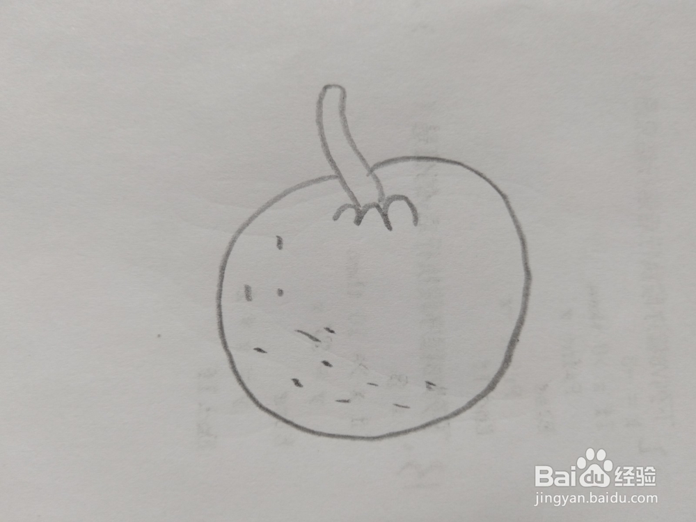 简笔画橘子画法6
