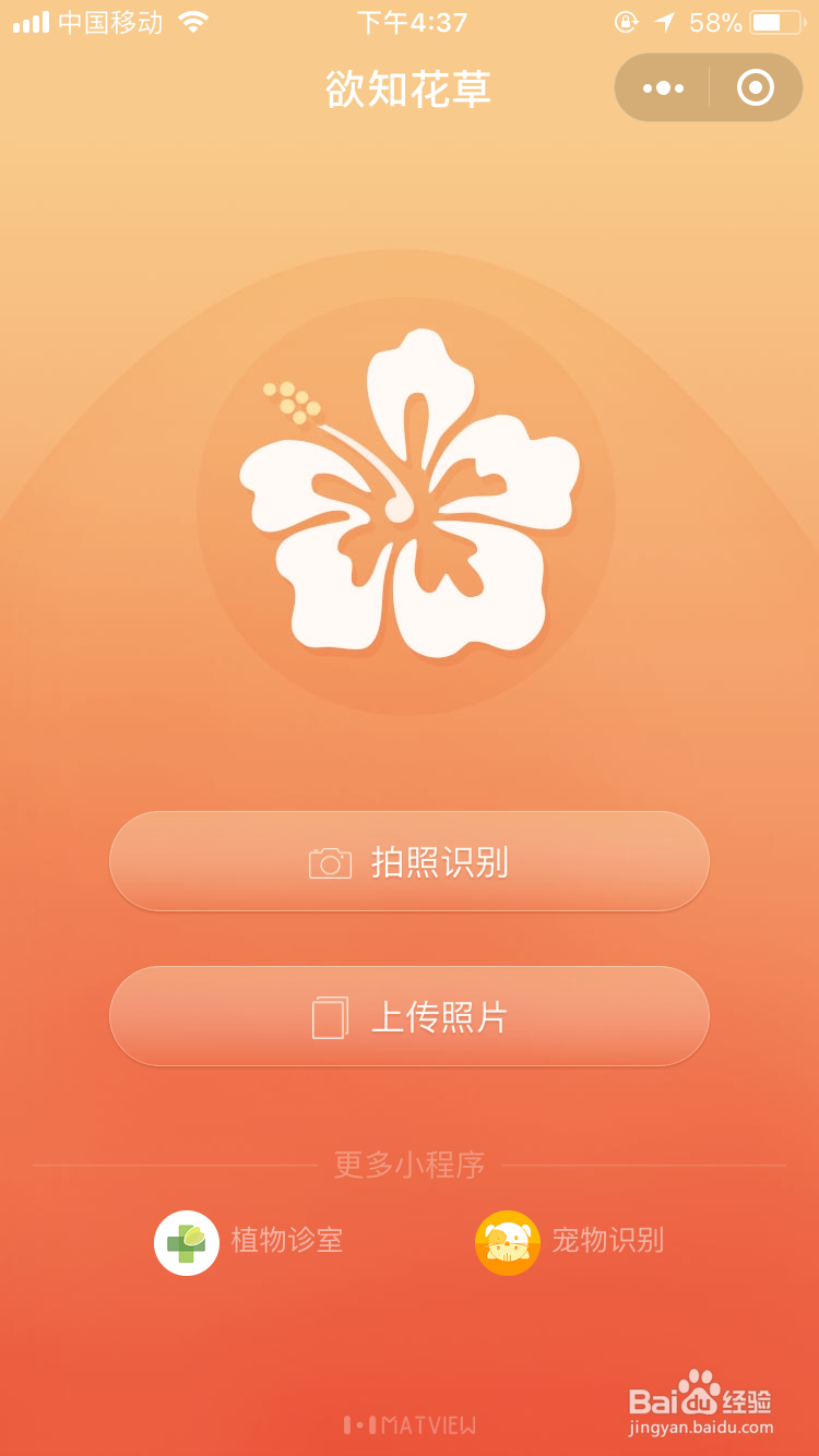 怎么用手机识别植物 花草