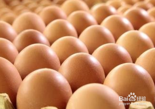 几款营养可口的催乳餐