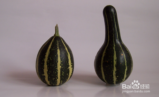 葫芦的各型分类