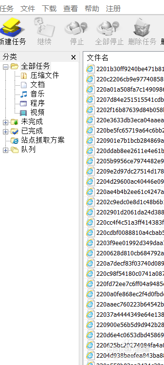 Internet Download Manager如何进行批量下载