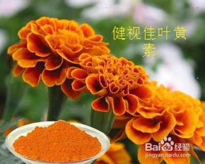 眼睛很容易疲劳怎么办？