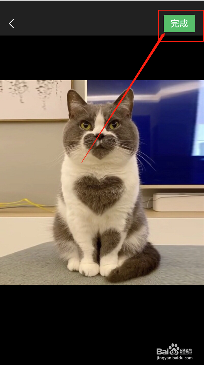 微信怎么添加自己喜欢的图片到表情包