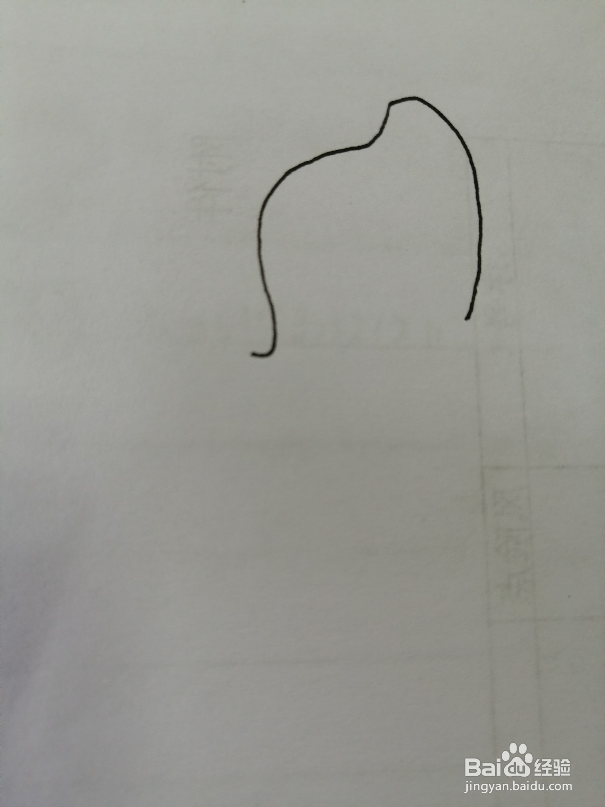 玩球的小海豚怎么画