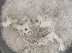 减脂酸汤荞麦面的做法