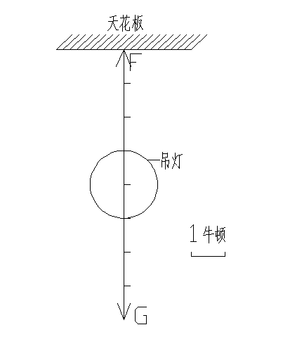 用线将吊灯悬挂在天花板上,线对灯的拉力F=4N。请画出拉力F的示意图