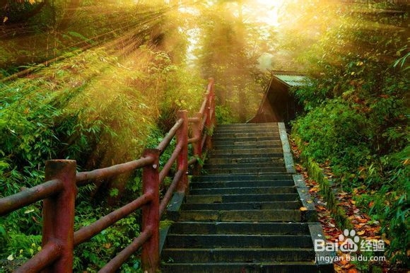长高方法：适合任何人长高的训练方法
