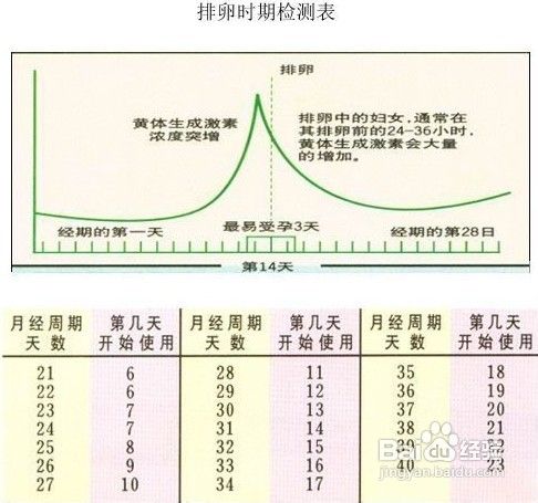 怀孕机率最佳时机