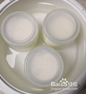 自制酸奶的做法