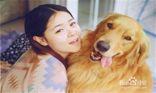 怎样为狗狗找一个好人家