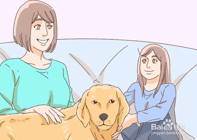 如何抚摸陌生的狗狗和熟悉的狗狗