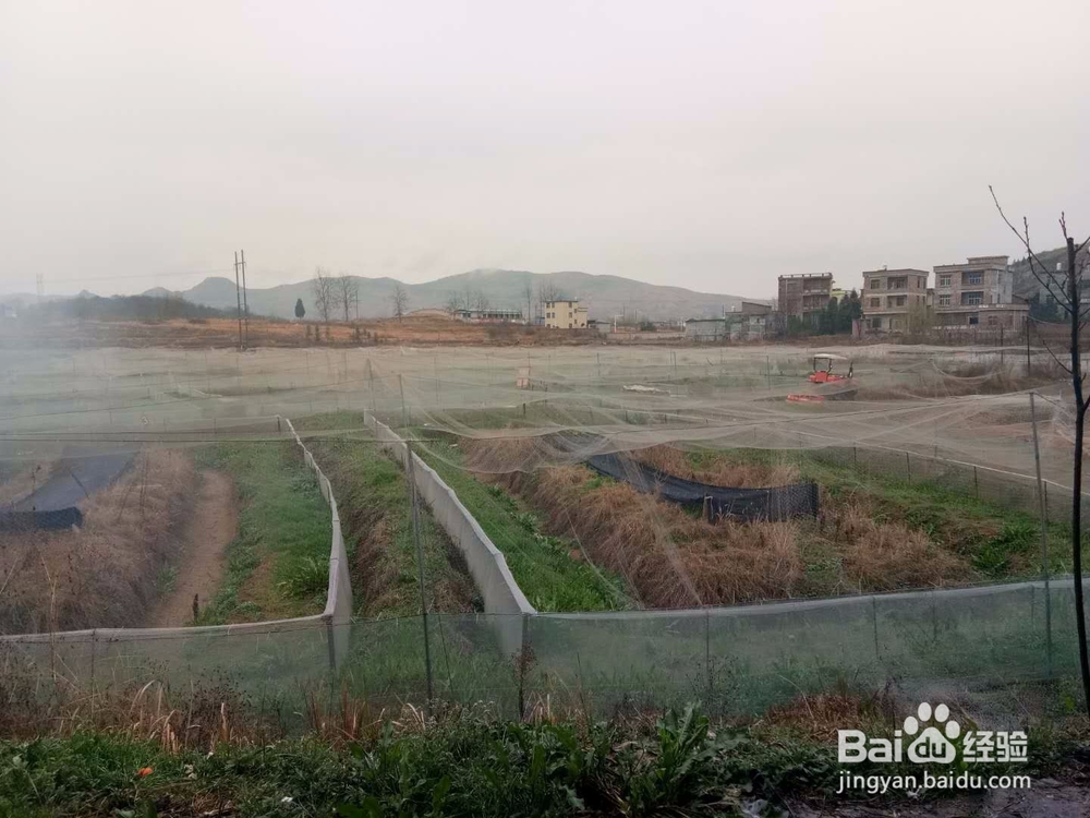 留住2017年过春节美丽时光与倩影的方法