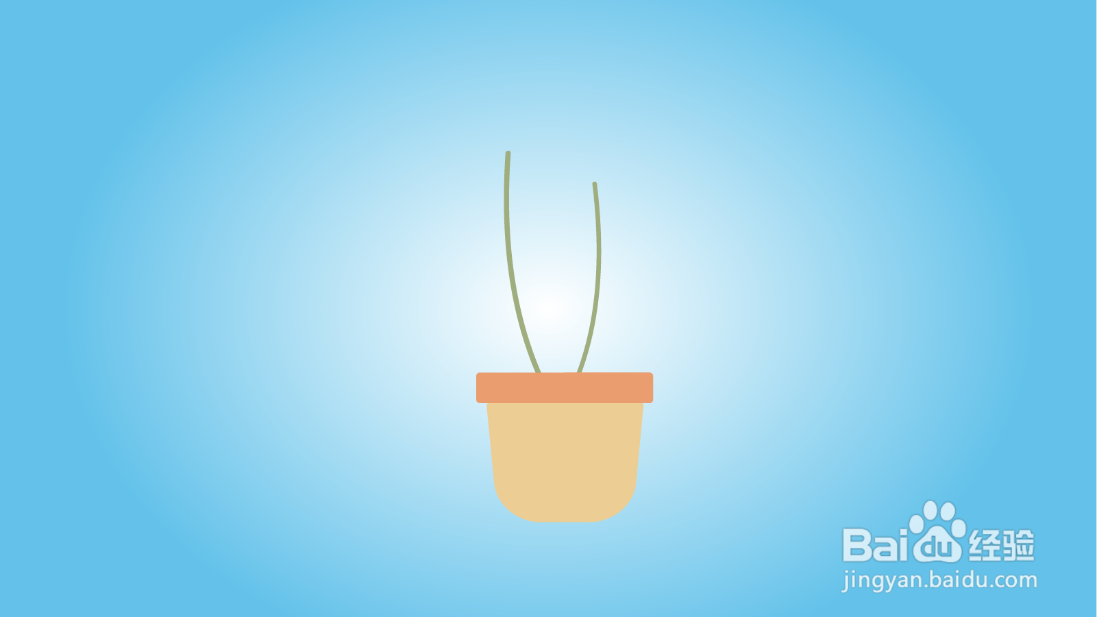 如何画卡通花卉盆栽？