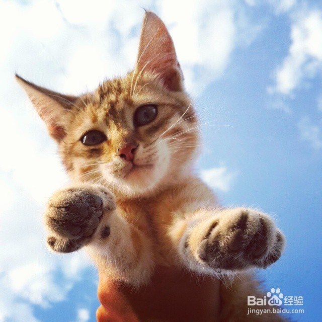 Show you how to Be Nice to a Girl