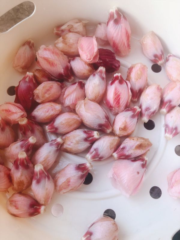 粉嫩木槿花炒蛋