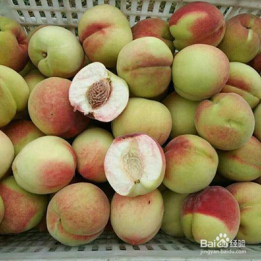 痒痒粉的简单制作方法