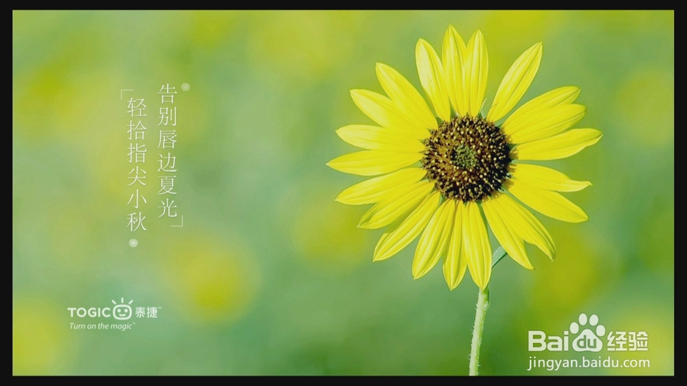 创维盒子软件被删除,快速恢复看直播