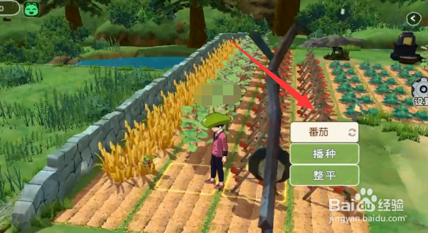 小森生活中如何收割番茄