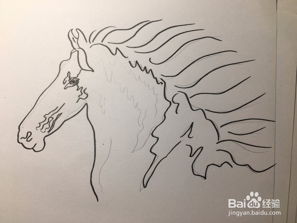 马的简笔画 马的抽象线描画