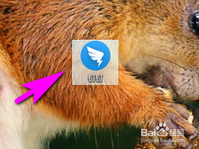 电脑版钉钉如何给同事发代码？