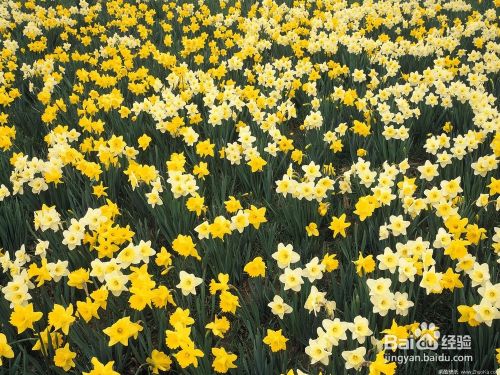 初恋失恋了很难过怎么办 百度经验