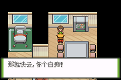 口袋妖怪釉色攻略(12)