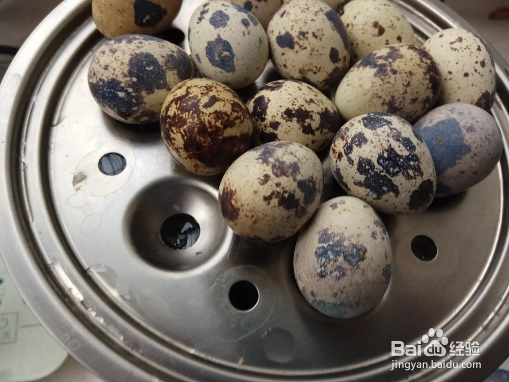 蒸蛋器的多功能用法