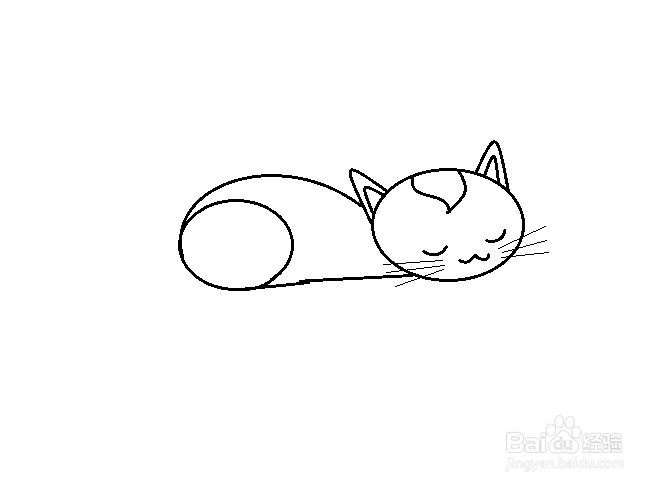 卧着的猫怎么画图片