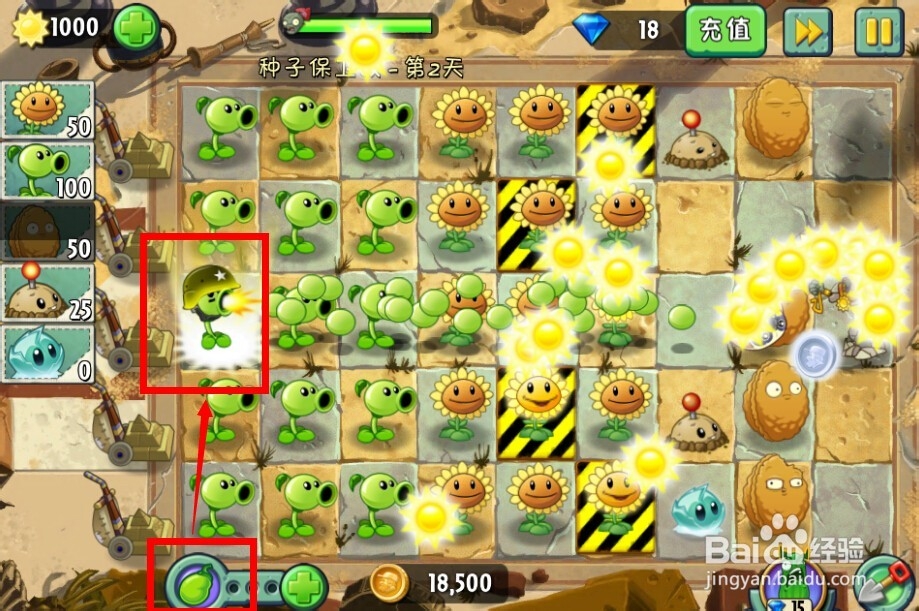 植物大战僵尸2：第2天的种子保卫战