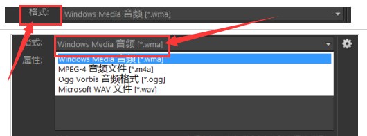 VideoStudio音频怎么转换