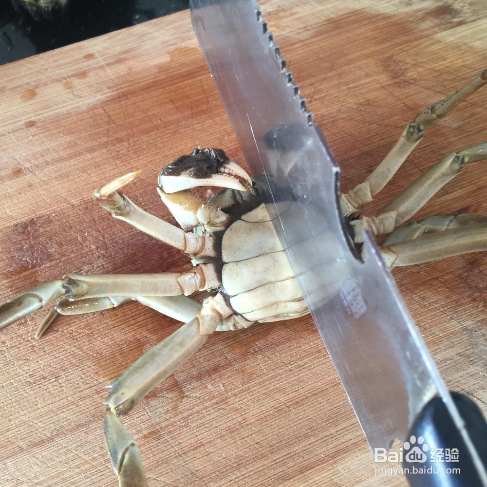 美味的丽妈版大闸蟹砂锅粥
