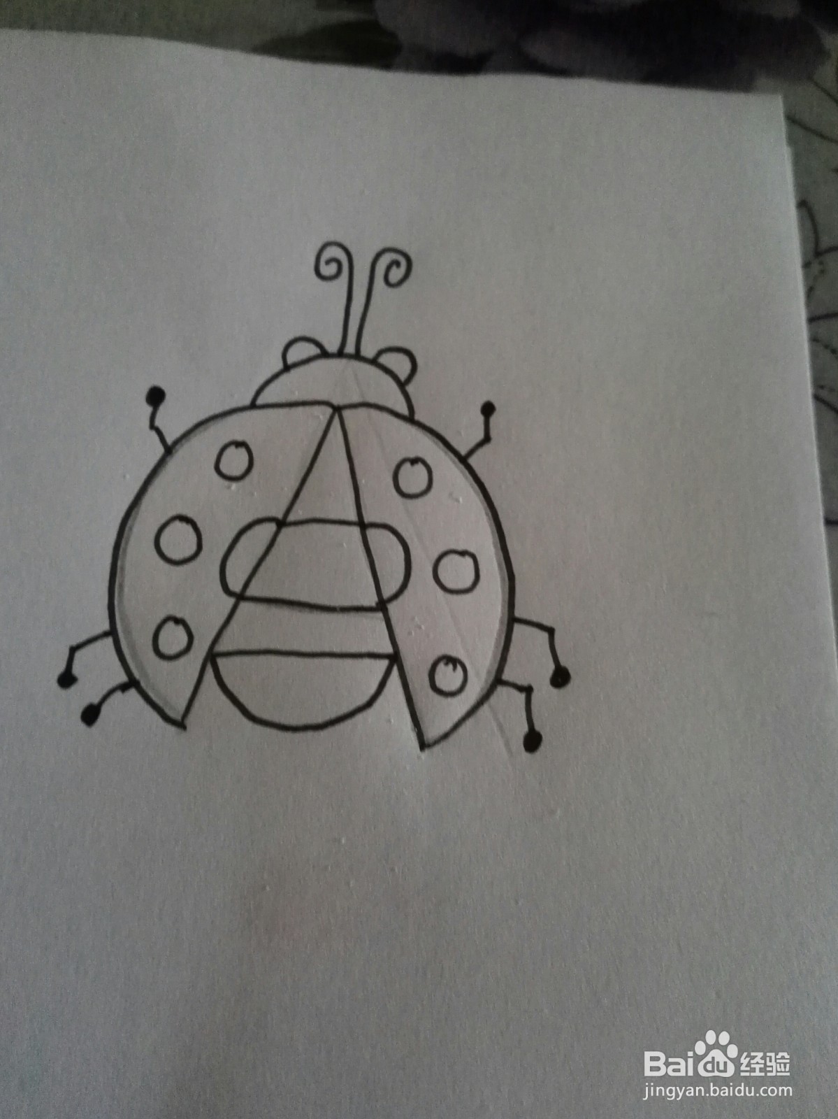 可爱的七星飘虫的简笔画法