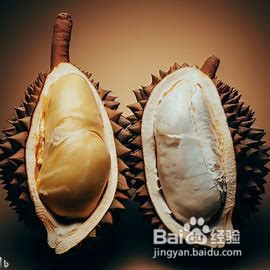 如何挑选新鲜美味的榴莲