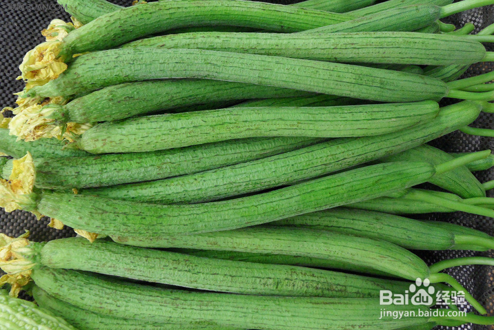 丝瓜种植：夏季丝瓜怎么防治早衰？