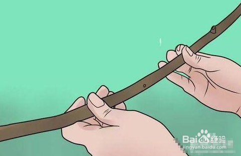 木棍湿弯怎样用火烤压直