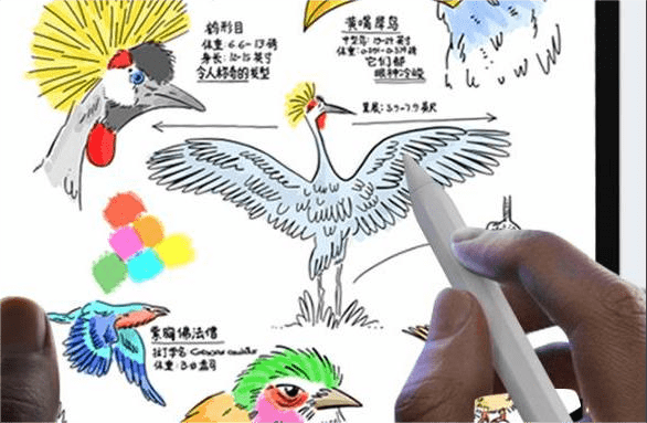apple pencil一定要买吗？Ipad专用笔推荐
