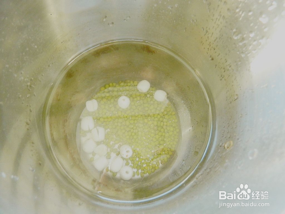 莲子绿豆饮的做法步骤