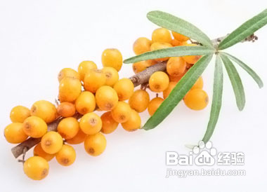 产妇吃什么能吃出好肌肤