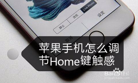 苹果手机怎么调节Home键触感