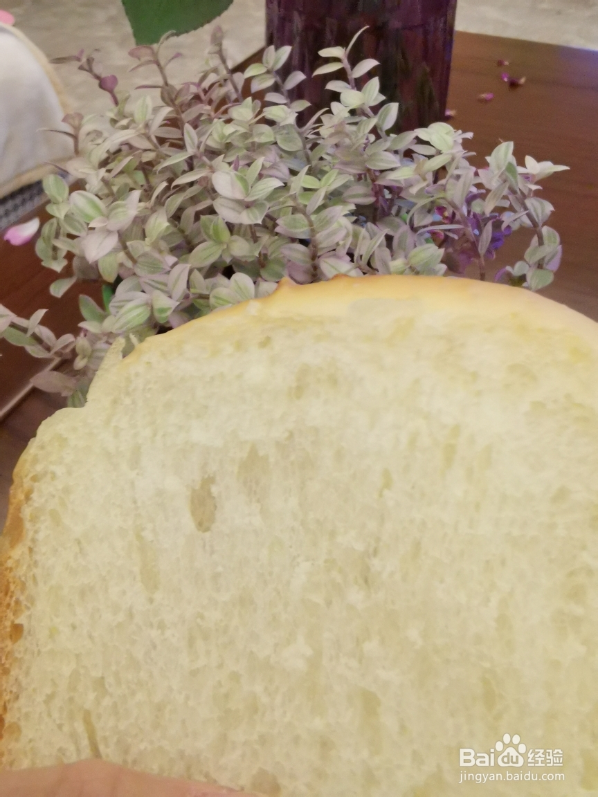 新手简单做牛奶吐司