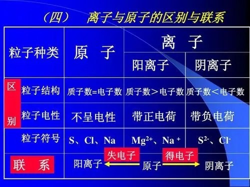 正离子负离子中性粒子分别在什么部位流出
