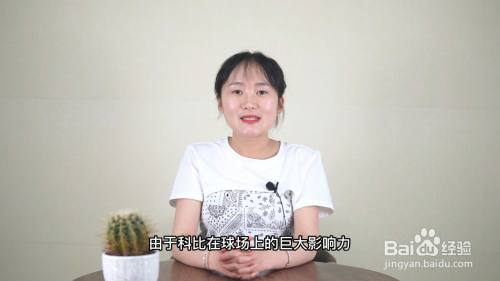 黑曼巴精神是什么