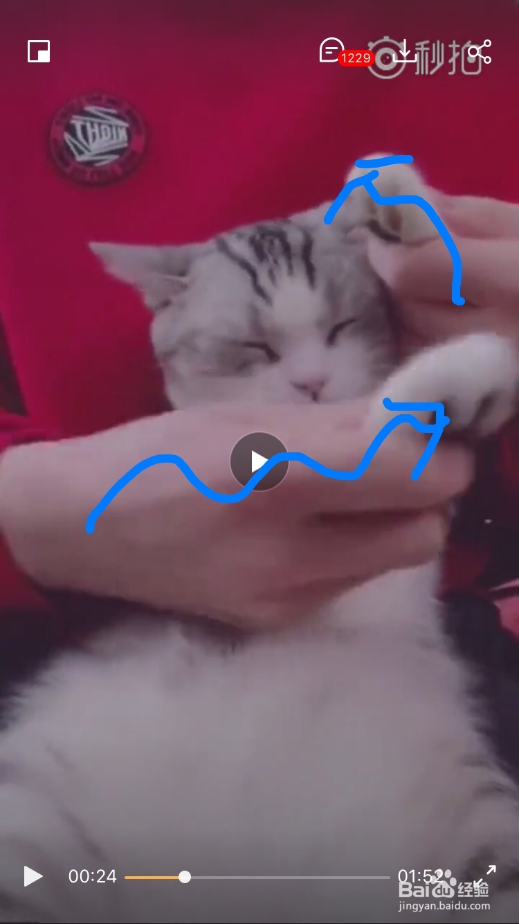 海草舞舞蹈教程分解动作