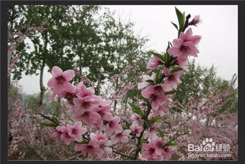 用光影魔术手如何将图片变淡