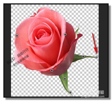 PS中，操控变形怎样用？