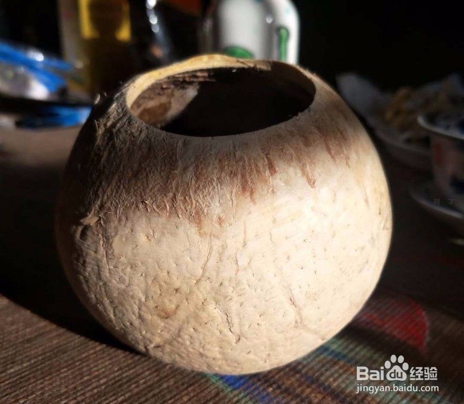 手绘椰壳小盆栽,多肉花盆的做法步骤