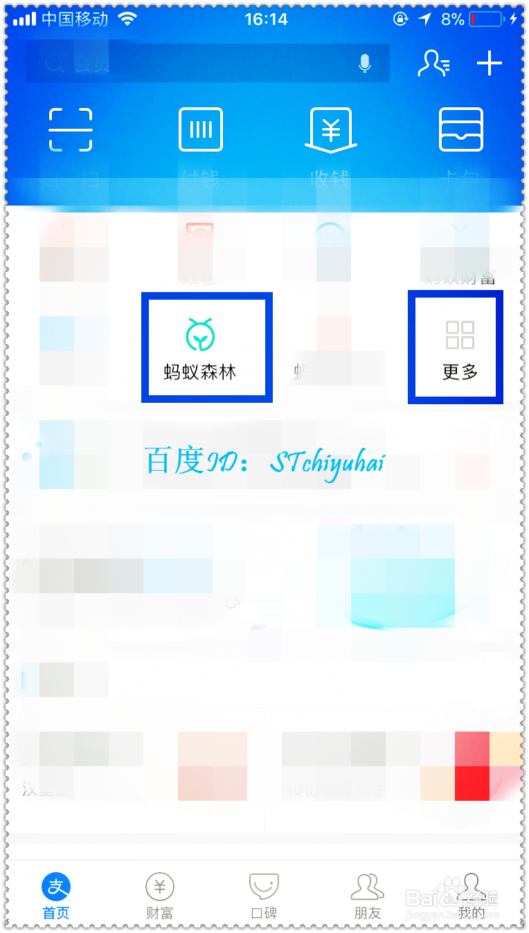 支付宝如何植树公益活动