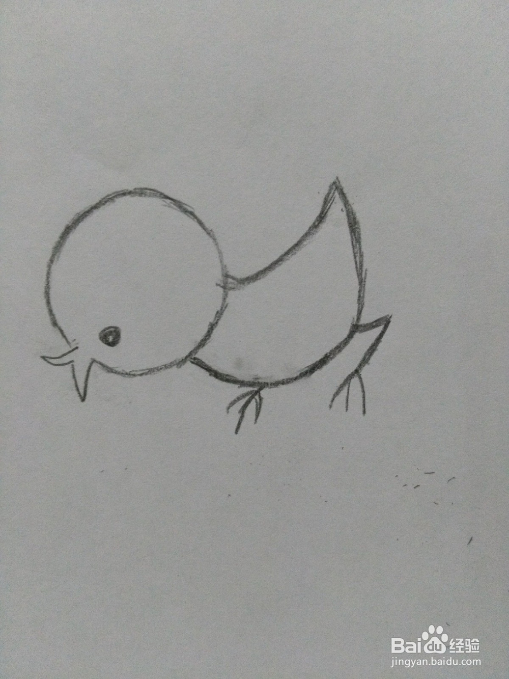 简笔画---小鸡和小鸭的画法