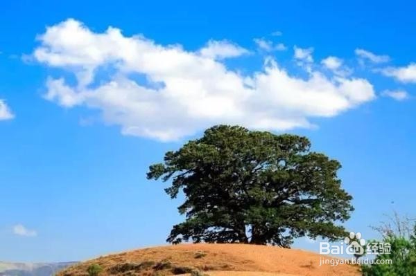老司机带路,到东川红土地那些犄角旮旯的拍摄点